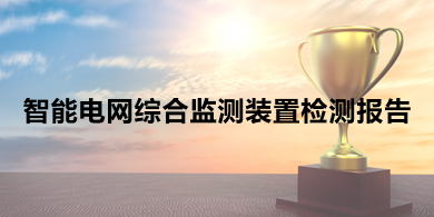 智能电网综合监测装置检测报告